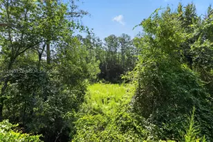 119 Ramsey, Other Fl City, FL 32666 - Photo 3