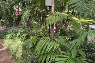 3024 Day, Miami, FL 33133 - Photo 69