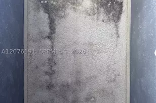 3024 Day, Miami, FL 33133 - Photo 65