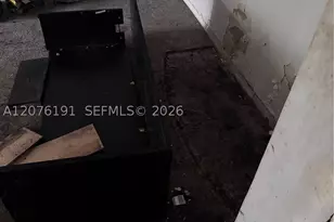 3024 Day, Miami, FL 33133 - Photo 13
