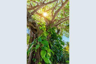 3901 SE Saint Lucie Boulevard #37, Stuart, FL 34997 - Photo 31