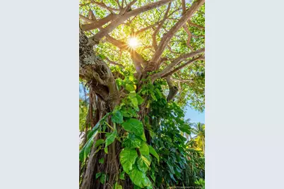 3901 SE Saint Lucie Boulevard #34, Stuart, FL 34997 - Photo 43