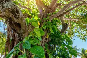 3901 SE St Lucie Blvd, Stuart, FL 34997 - Photo 43