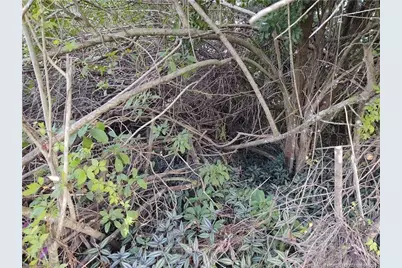 2315 SW Chestnut Lane, Port Saint Lucie, FL 34953 - Photo 9