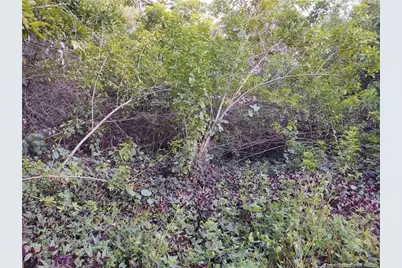 2315 SW Chestnut Lane, Port Saint Lucie, FL 34953 - Photo 13