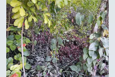 2315 SW Chestnut Lane, Port Saint Lucie, FL 34953 - Photo 17