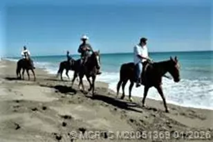 4210 Gator Trace Ave, Fort Pierce, FL 34982 - Photo 41