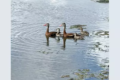 98 Spring Lake Drive #205, Vero Beach, FL 32962 - Photo 29
