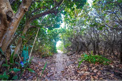 1446 Wyn Cove Drive, Vero Beach, FL 32963 - Photo 5