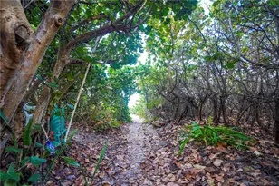 1446 Wyn Cove Dr, Vero Beach, FL 32963 - Photo 5