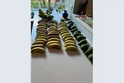 4881 SW Parkgate Boulevard, Palm City, FL 34990 - Photo 83