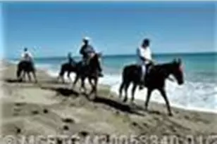 4210 Gator Trace Ave, Fort Pierce, FL 34982 - Photo 35