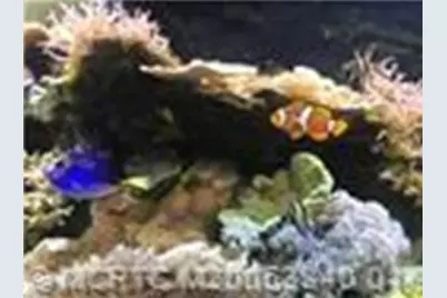 4210 Gator Trace Avenue #B, Fort Pierce, FL 34982 - Photo 41