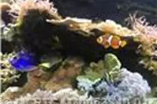 4210 Gator Trace Ave, Fort Pierce, FL 34982 - Photo 41