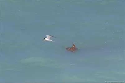 7380 S Ocean Drive #621, Jensen Beach, FL 34957 - Photo 45