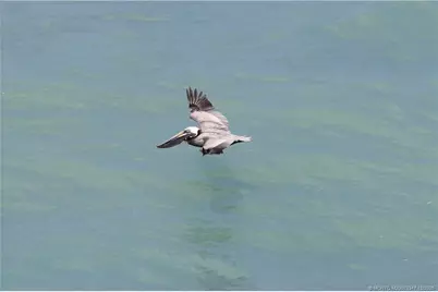 7380 S Ocean Drive #621, Jensen Beach, FL 34957 - Photo 21