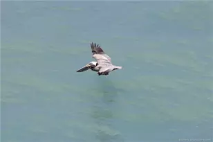 7380 S Ocean Dr, Jensen Beach, FL 34957 - Photo 21