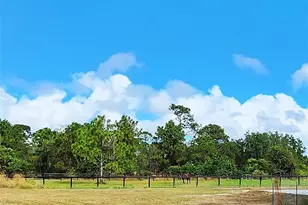 13559 22nd Ln, Okeechobee, FL 34974 - Photo 47