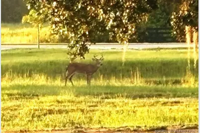 13559 22nd Lane, Okeechobee, FL 34974 - Photo 51