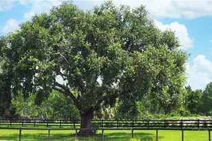 13559 22nd Ln, Okeechobee, FL 34974 - Photo 55