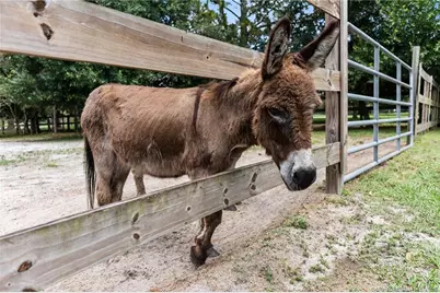 9758 SW Malibu Terrace, Palm City, FL 34990 - Photo 59