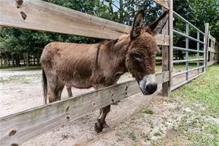 9758 SW Malibu Terrace, Palm City, FL 34990 - Photo 59