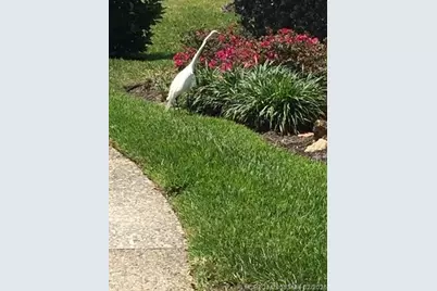 513 Gunwale Lane, Longboat Key, FL 34228 - Photo 53