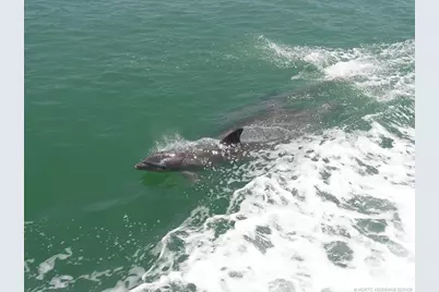 513 Gunwale Lane, Longboat Key, FL 34228 - Photo 51