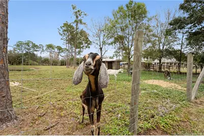 6347 SW Travers Street, Palm City, FL 34990 - Photo 55