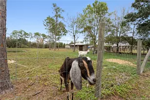 6347 SW Travers St, Palm City, FL 34990 - Photo 53