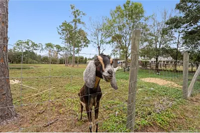 6347 SW Travers Street, Palm City, FL 34990 - Photo 53