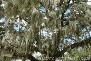 4 Miramar Rd, Stuart, FL 34996 - Photo 25