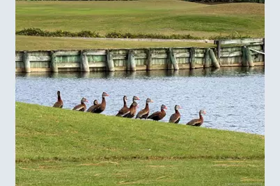 2379 SW Manor Hill Drive, Palm City, FL 34990 - Photo 55