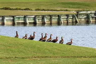 2379 SW Manor Hill Dr, Palm City, FL 34990 - Photo 55