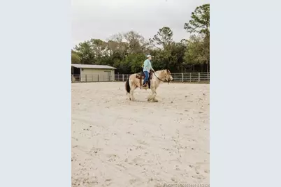 5148 SW Quail Hollow Street, Palm City, FL 34990 - Photo 15