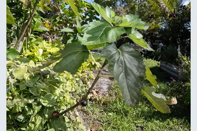 3121 Old Edwards Road, Fort Pierce, FL 34981 - Photo 3