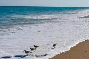 1225 NW 21st St, Stuart, FL 34994 - Photo 15