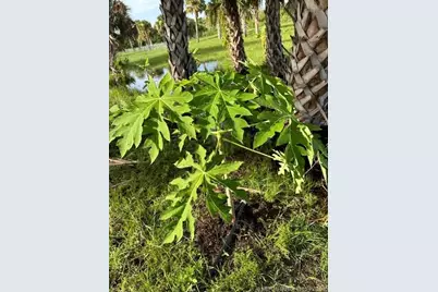 27325 SW Tommy Clements Street, Indiantown, FL 34956 - Photo 9