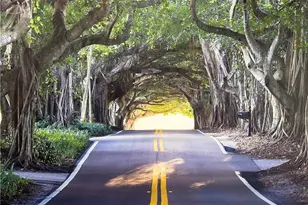 4276 SE Palmetto St, Stuart, FL 34997 - Photo 7