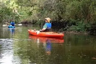 429 NE Tradewind Ln, Stuart, FL 34996 - Photo 15