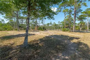 6650 SW 54th Ave, Palm City, FL 34990 - Photo 51