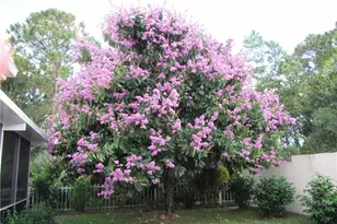 5263 SE Sweetbrier Terrace, Hobe Sound, FL 33455 - Photo 1