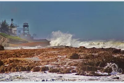 621 NW Broken Oak Trail, Jensen Beach, FL 34957 - Photo 49