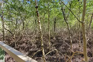 9269 SE Mystic Cove Terrace, Hobe Sound, FL 33455 - Photo 61