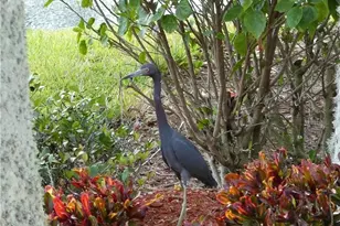 219 NW Chipshot Ln, Port Saint Lucie, FL 34986 - Photo 1