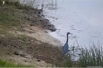 219 NW Chipshot Lane, Port Saint Lucie, FL 34986 - Photo 3