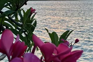 276 Bermuda Beach Dr, Hutchinson Island, FL 34949 - Photo 93