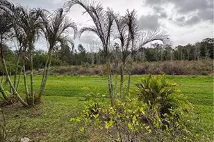 1509 SE Belcrest St, Port Saint Lucie, FL 34952 - Photo 19