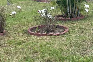 1509 SE Belcrest St, Port Saint Lucie, FL 34952 - Photo 21