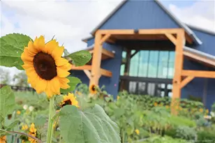 950 SW Pr Ave, Palm City, FL 34990 - Photo 49